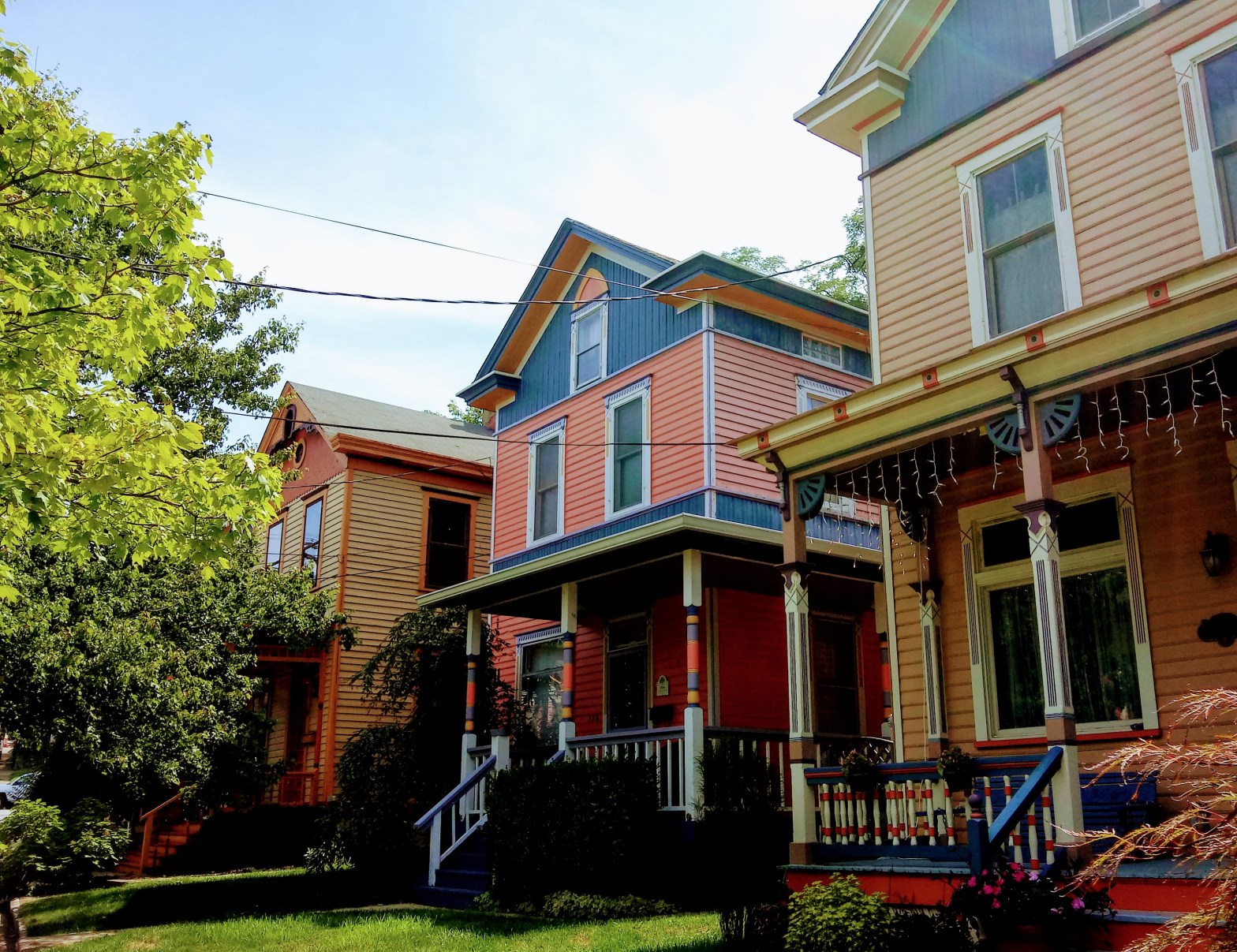 Painted Ladies and Disappearing Horses
